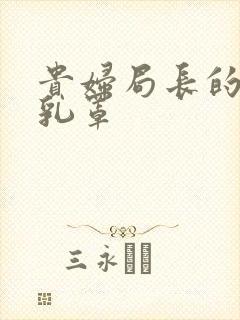 贵妇局长的蕾丝乳罩