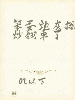 笨蛋炮灰总被爆炒翻车了