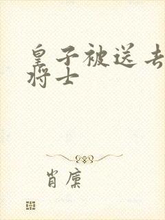 皇子被送去犒劳将士