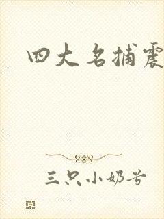 四大名捕震关东