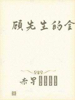 顾先生的金丝雀