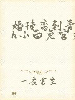 婚后脔到青梅哭h小白兔宫交h