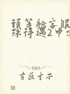 头等舱客服的特殊待遇2中字