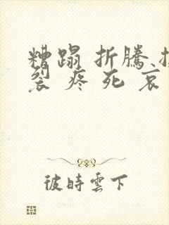 糟蹋 折腾 撕裂 疼 死 哀求