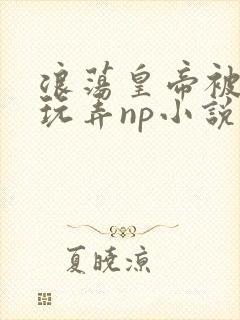 浪荡皇帝被多人玩弄np小说