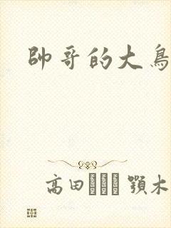 帅哥的大鸟