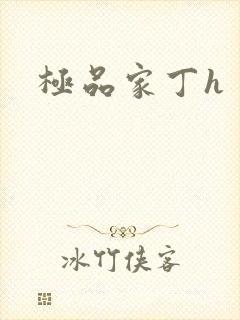 极品家丁h