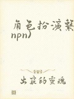 角色扮演系统(npn)