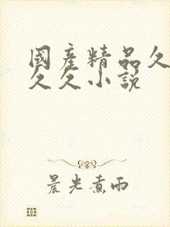 国产精品久久久久久小说