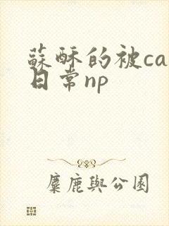 苏酥的被cao日常np