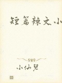 短篇辣文小说