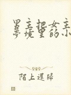 男主把女主拖进梦境里的小说