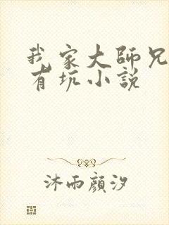 我家大师兄脑子有坑小说