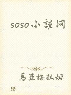 soso小说网