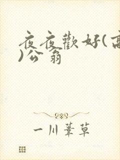 夜夜欢好(高h)公翁