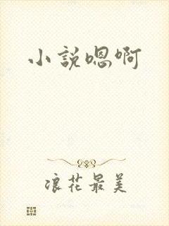 小说嗯啊