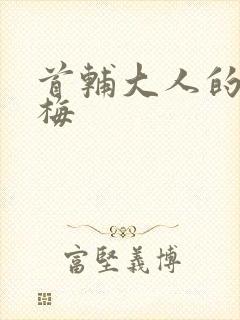 首辅大人的小青梅