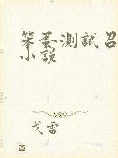 笨蛋测试召唤兽小说