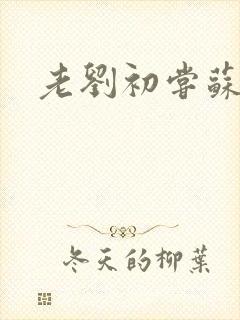 老刘初尝苏荷媳