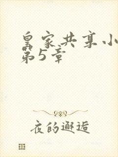 皇家共享小公主第5章