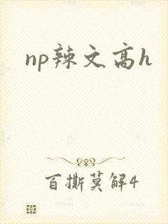 np辣文高h