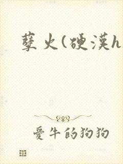 孽火(硬汉h)