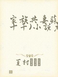 家族共妻苏苏(十千)小说免费