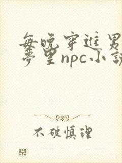 每晚穿进男神的梦里npc小说