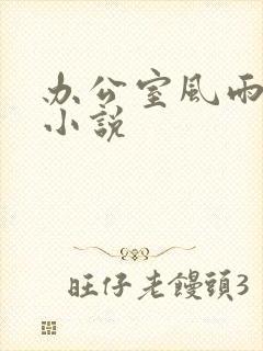 办公室风雨完整小说