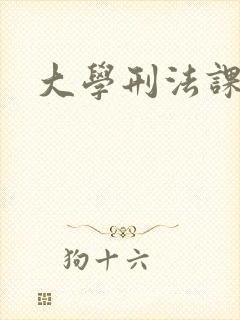 大学刑法课