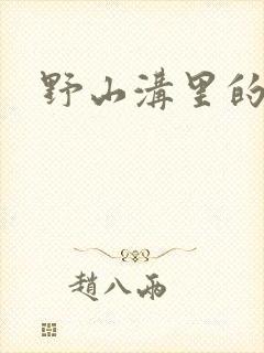 野山沟里的村庄