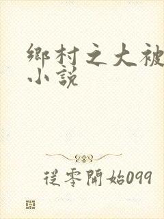 乡村之大被同眠小说