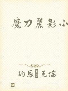 魔刀丽影小说
