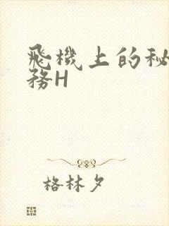 飞机上的秘密服务H