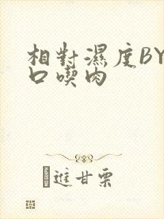 相对湿度BY大口吃肉