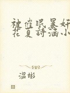 被催眠暴奸的校花夏诗涵小说