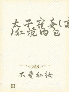 太子宠妾(高肉)红烧肉包