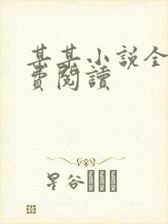 某某小说全文免费阅读