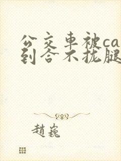 公交车被cao到合不拢腿视频