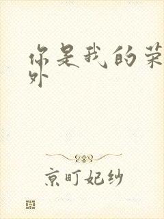 你是我的荣耀番外