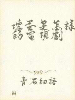 坏蛋是怎样炼成的电视剧