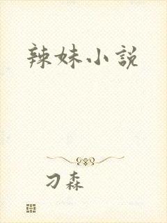 辣妹小说