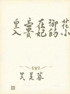 皇帝在御花园进入贵妃的小说