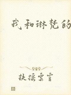 我和琳梵的故事