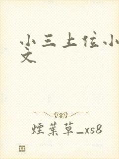 小三上位小说全文