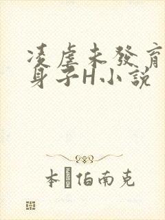 凌虐未发育的小身子H小说