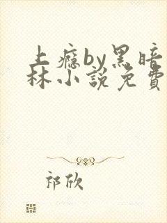 上瘾by黑暗森林小说免费