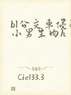 bl公交车侵犯小男生肉h