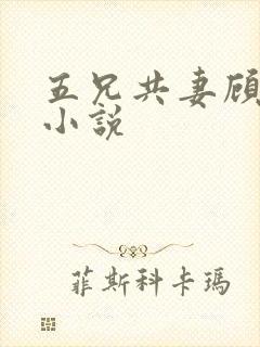 五兄共妻顾心儿小说