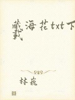 藏海花txt下载